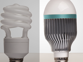 LED lights don’t attract insects. True or false?