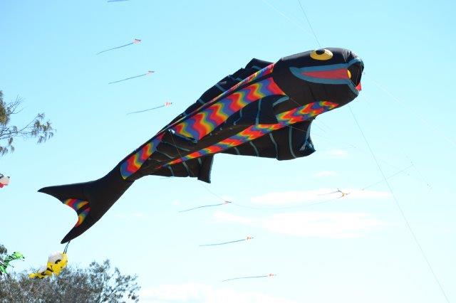 Moore Park Beach Arts Festival 2015