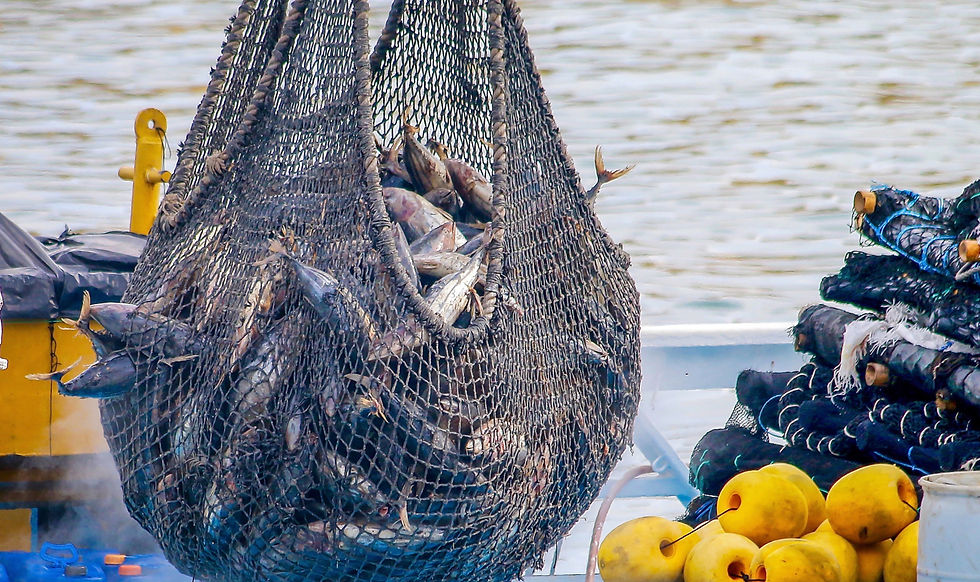 Culture, Leadership, Talent Retention