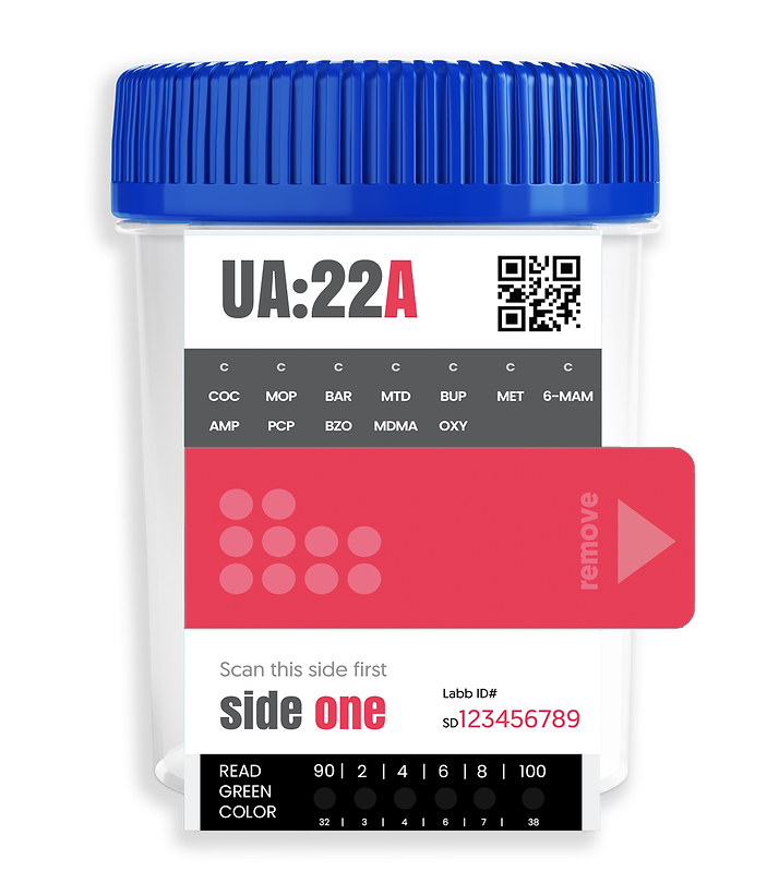 22A.png
