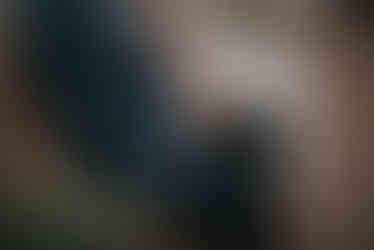 Freie Trauung München Palmenhaus