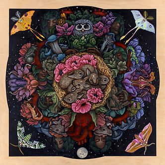 Arteria Nyx_lores_edited.jpg