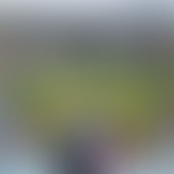 주 혜영님 갈렙의 솔직한 LA여행후기