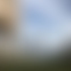 백 장미님 갈렙의 솔직한 LA 여행후기