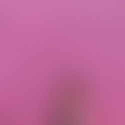 임은영님 갈렙의 솔직한 Real LA 여행.