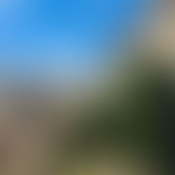 이예진님 갈렙의 솔직한 리얼 LA 여행..