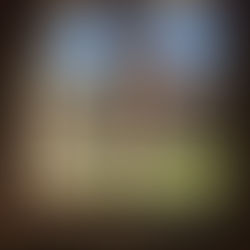 김 효겸님 갈렙의 솔직한 LA여행후기