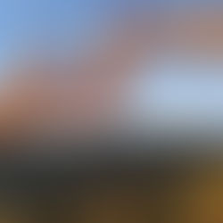 김성경님 갈렙의 솔직한 Real LA 여행후기