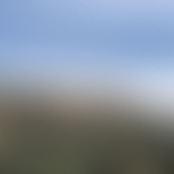 강정은님 갈렙의 솔직한 Real LA 여행.