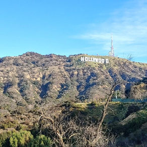 김시은님 [갈렙투어] 솔직한 Real LA여행후기