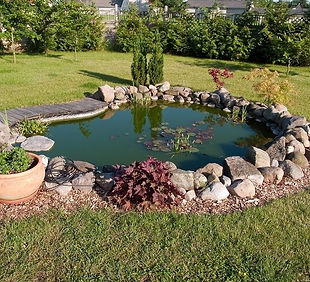 Water features & Ponds.jpg