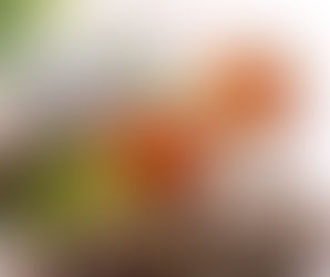 Sélection de plantes infaillibles contre la chute des cheveux