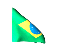 Brazil_240-animated-flag-gifs.gif