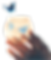main_papillon_no_bg.png