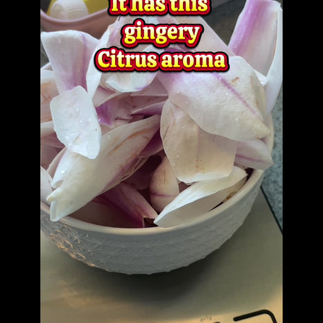 Magnolia Syrup – A Floral Spring Treat with Hints of Citrus, Ginger & Vanilla