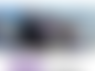 February Head of School Update & Hurricane Watch Newsletter