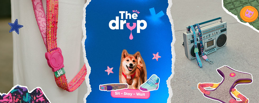 Banner principal - The new drop.jpg