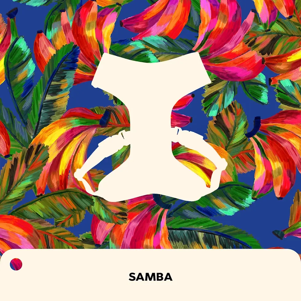 samba2.webp
