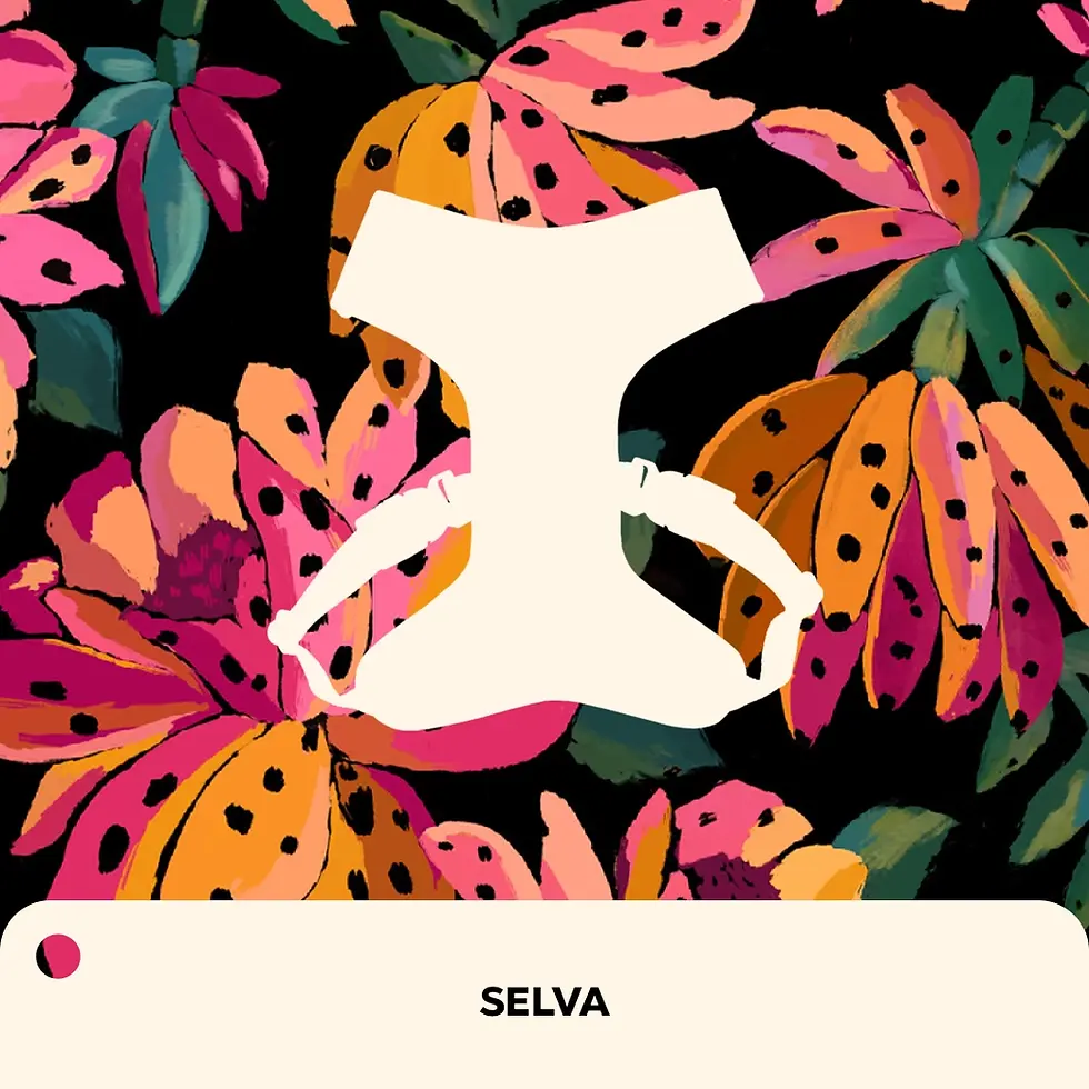 selva2.webp