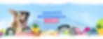 mystery_toy.webp