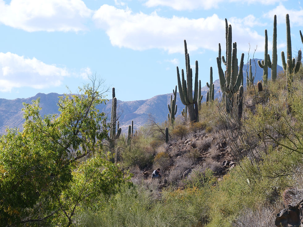 20241116_SheepBridge_Hike_Monitor.JPG