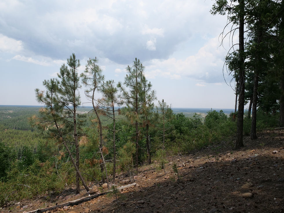 20250711_GentryLookOut_View_H.JPG