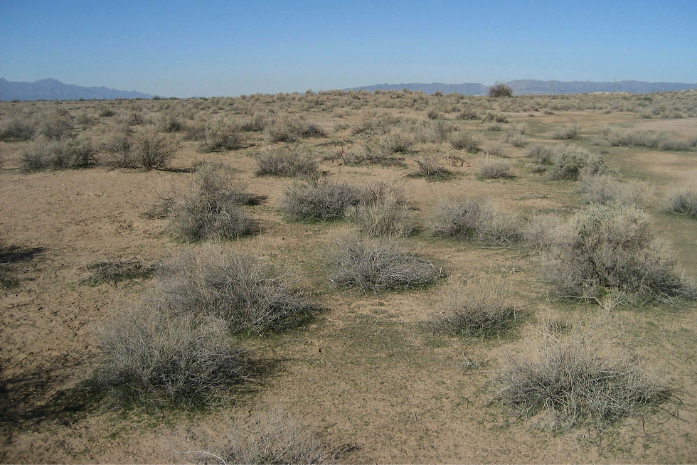 Hohokam Pima National Monument