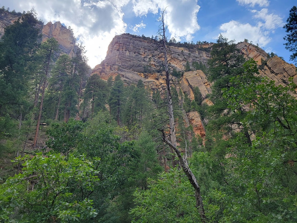 20210829_WestForkOakCreek_Cliffs_A.jpg