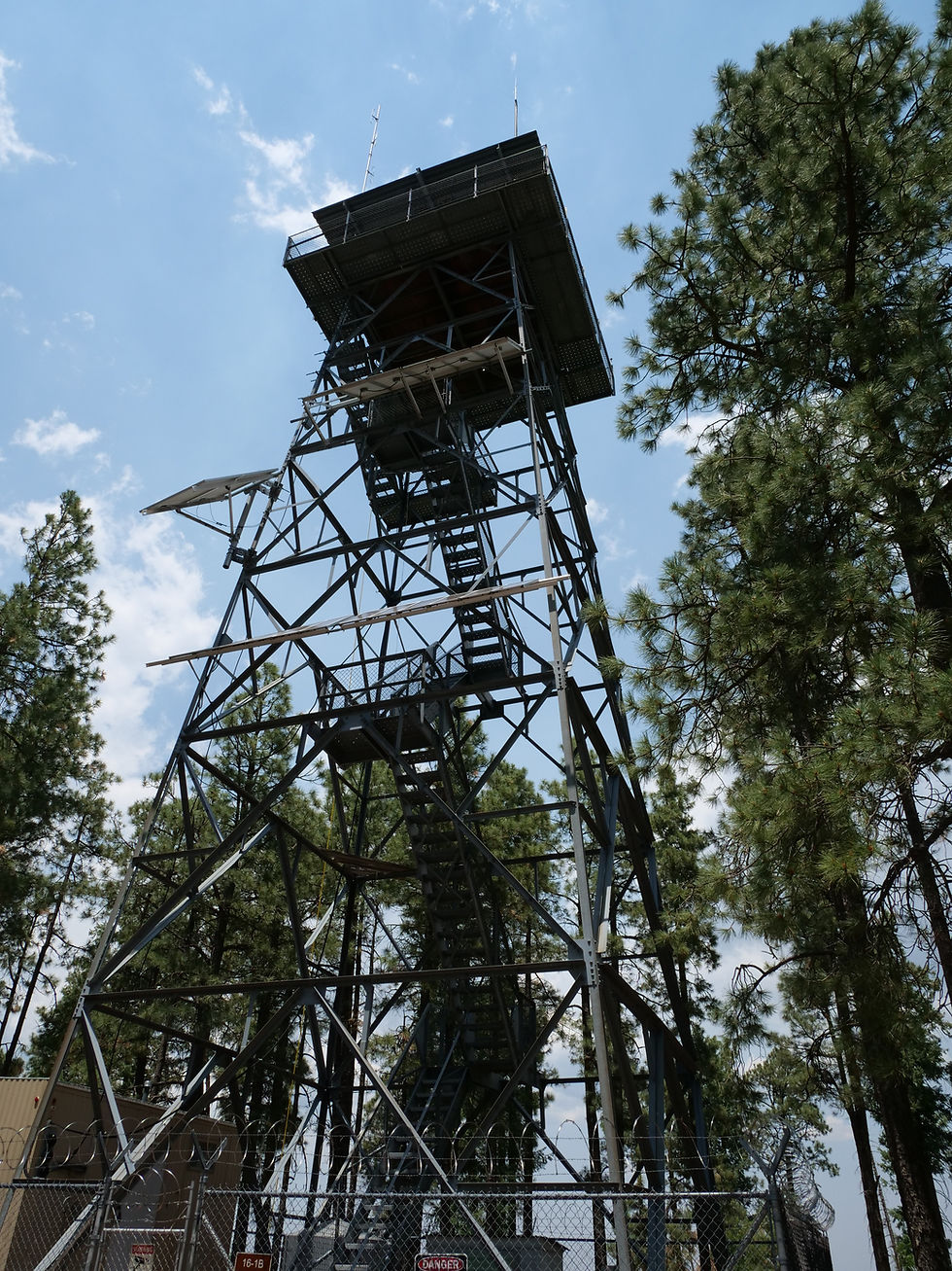 20250711_GentryLookOut_E.JPG
