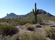 Picacho Peak State Park - Picacho, Arizona