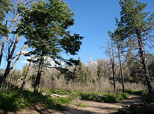 Pinal Mountains, Globe, Arizona — Tonto National Forest