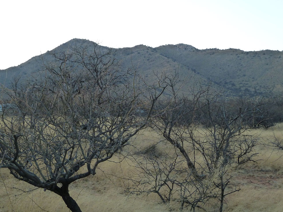 20110327_TripKartcherCaverns_Mtn_A.JPG