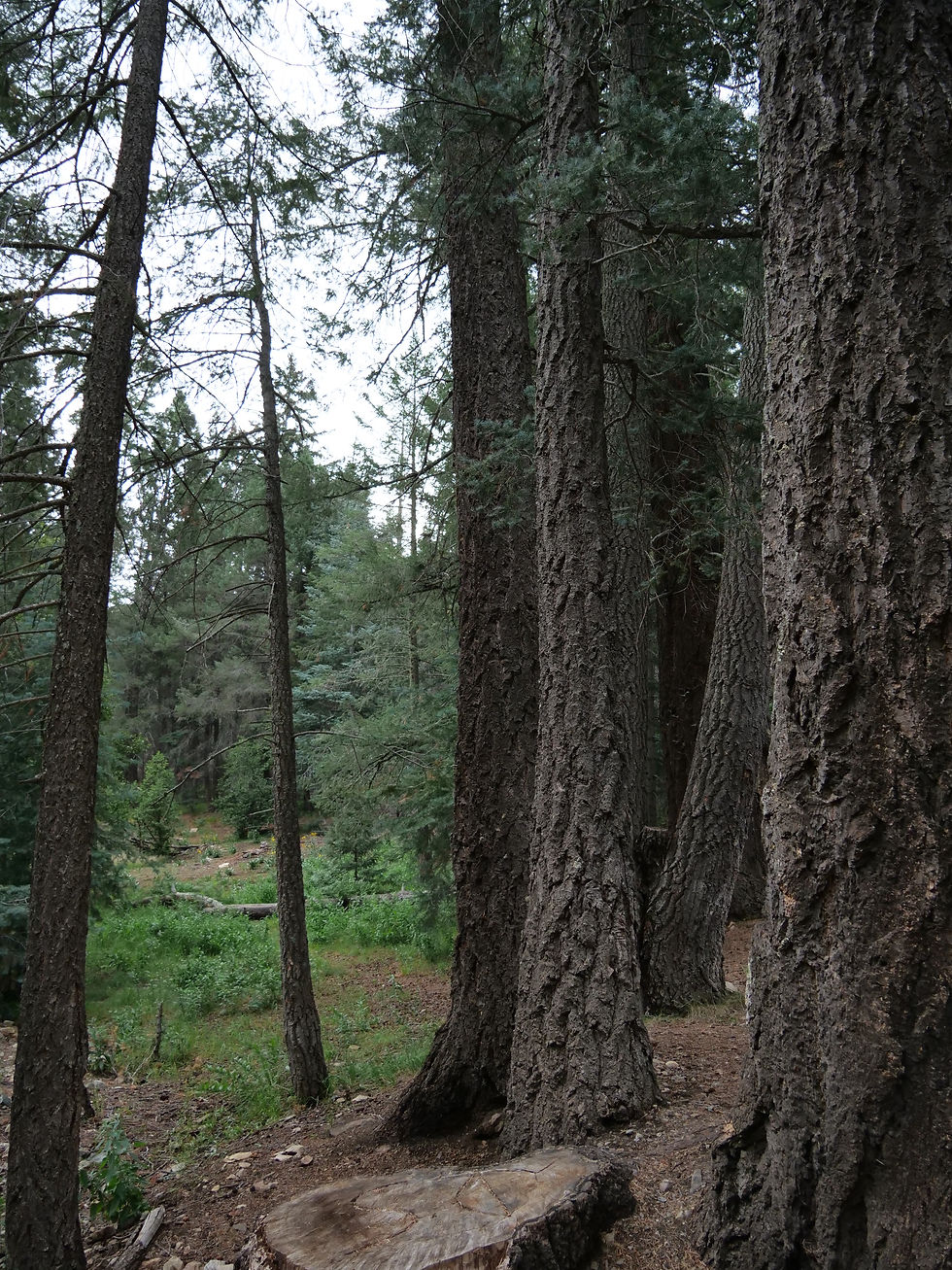P1043700.JPG