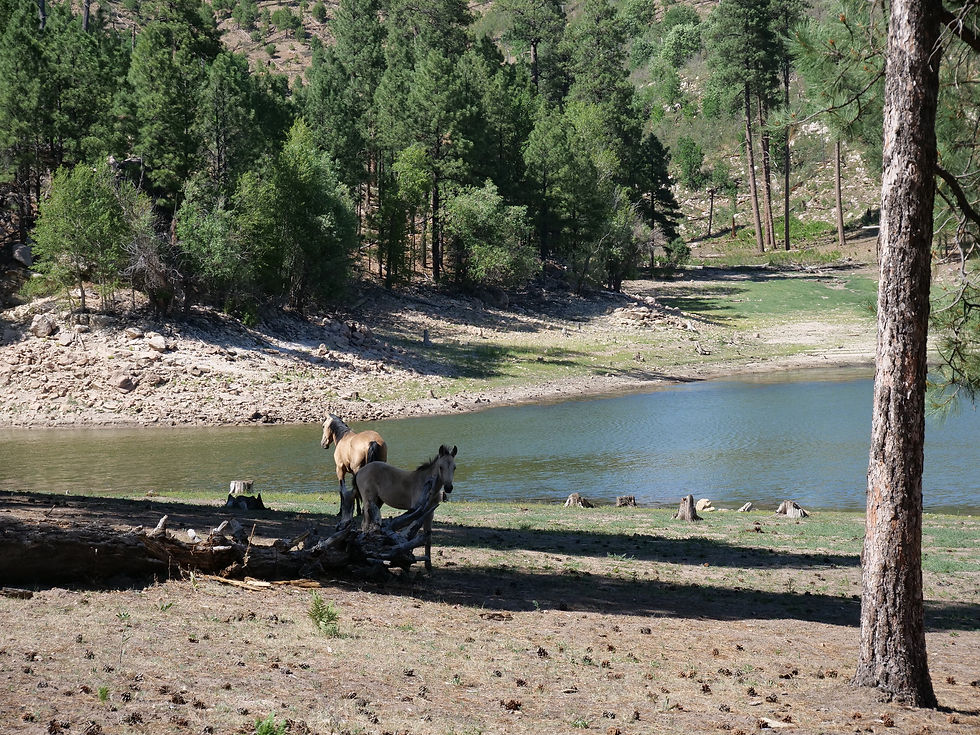 20250711_BlackCanyonLake_F.JPG