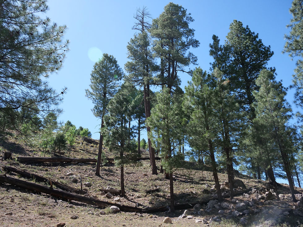 20250711_BlackCanyonLake_C.JPG