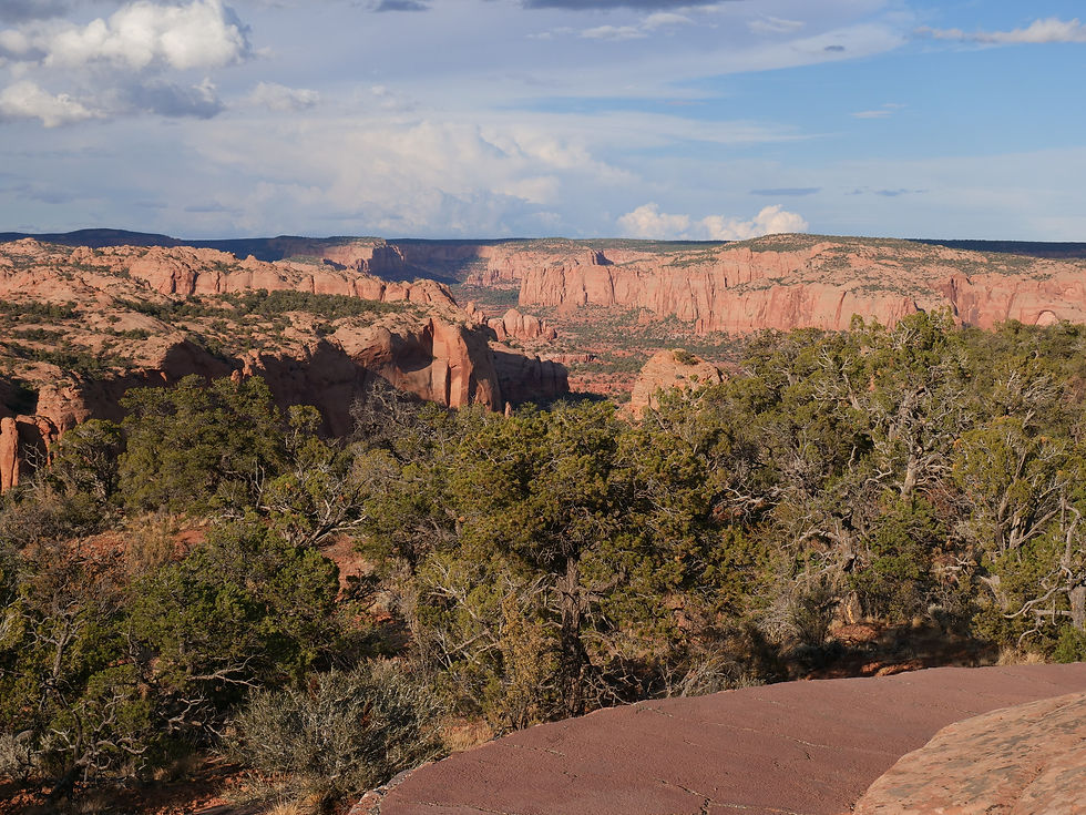 20250906_NavajoNM_Trail_View_A.JPG