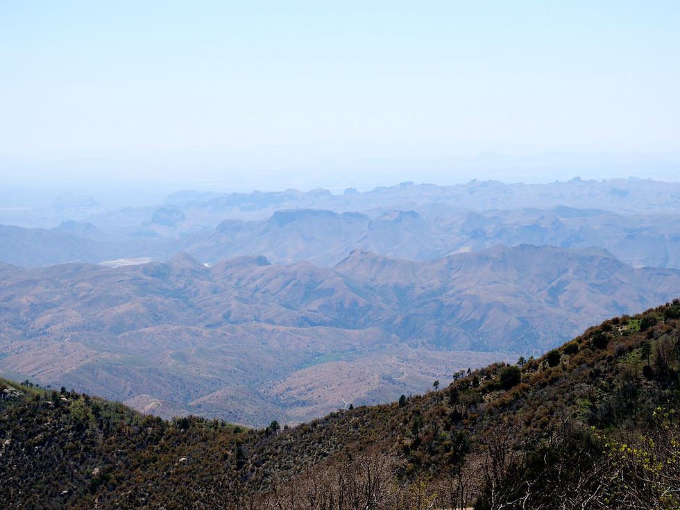20240513_PinalMountains_EL.jpg
