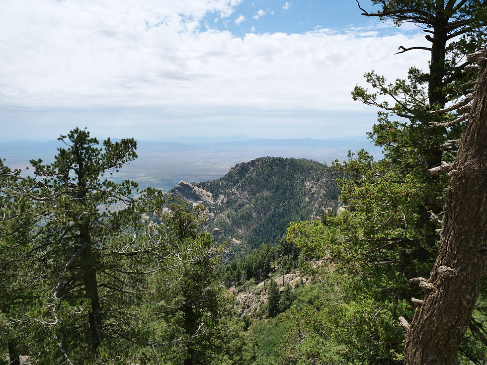 20230819_MtGraham_View_B.JPG