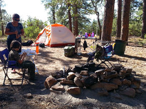 Camping in the forest