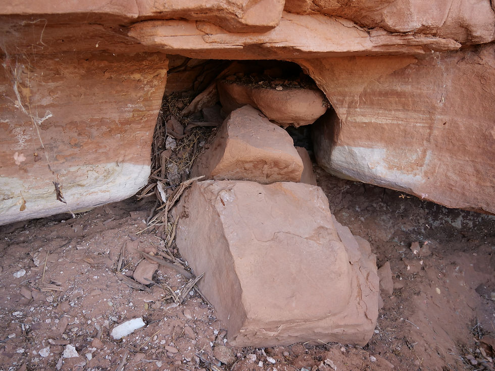 20250909_Fish_Creek_Canyon_Wilderness_Hike_M.JPG