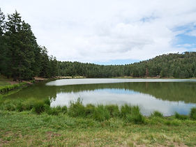 Riggs Flat Lake alpine fishing camping Pinaleño Mountains Mount Graham Arizona