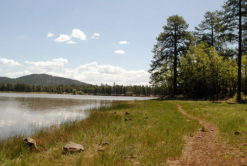 Kaibab_NF_DogtownLake.jpg