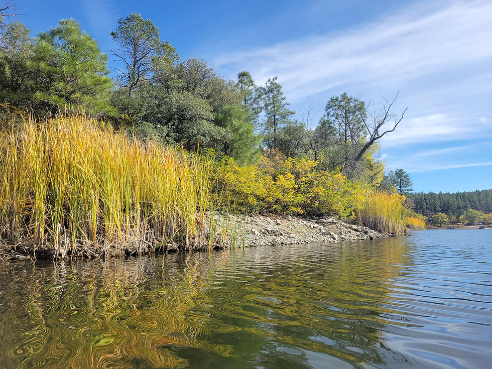 20241026_LynxLake_D.jpg