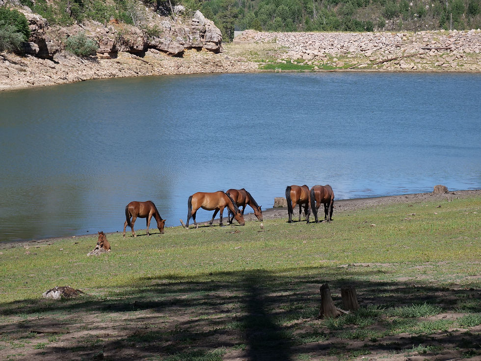 20250711_BlackCanyonLake_I.JPG