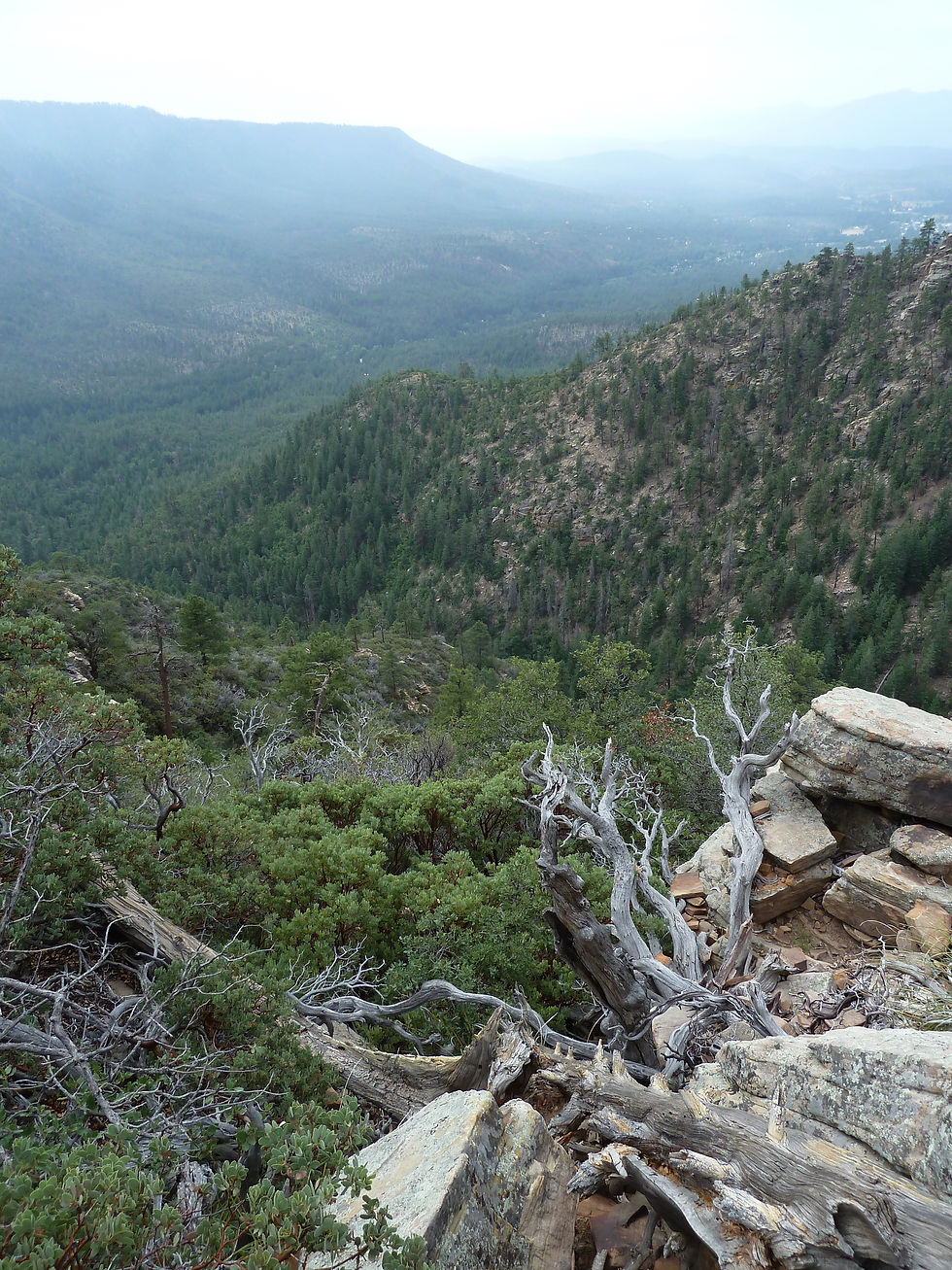 20110813_MogollonRim_FR608_View_E.JPG