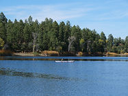 Lynx Lake Lynx Creek dispersed camping gold panning Prescott National Forest Arizona Bradshaw Mountains