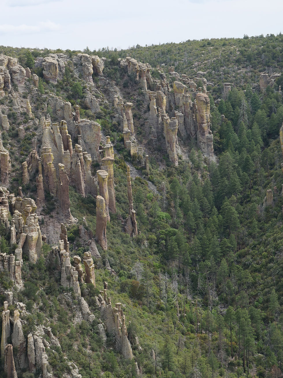 20260503_ChiracachuaNM_View_A.JPG