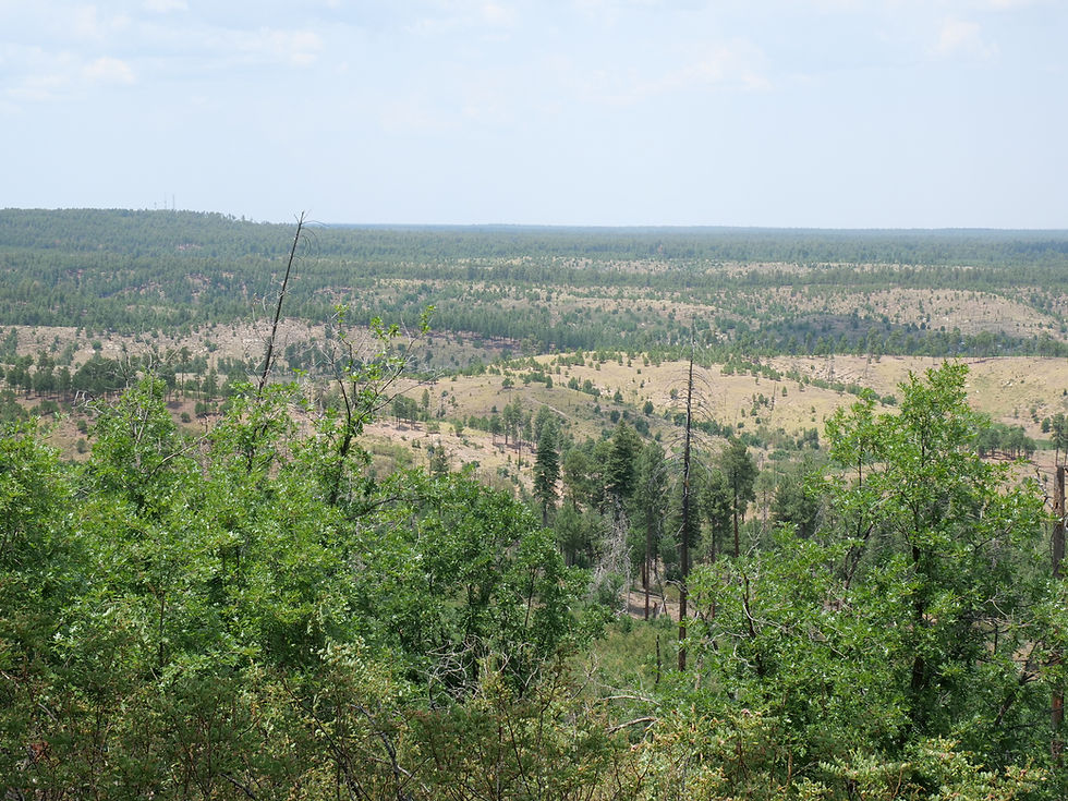 20250711_GentryLookOut_View_B.JPG