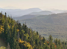 Mogollon Rim, Arizona