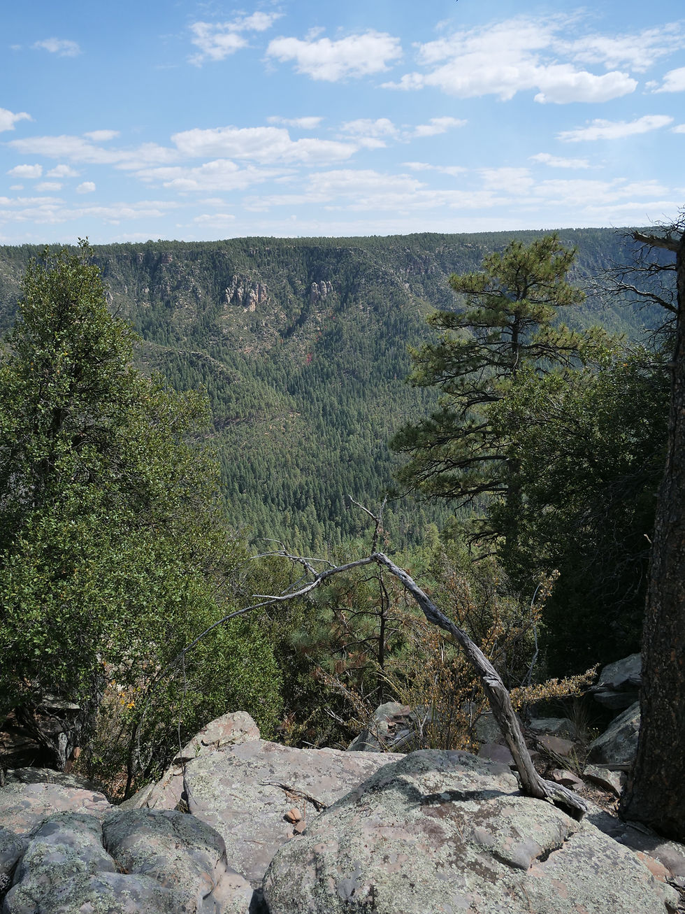 P1045038.JPG